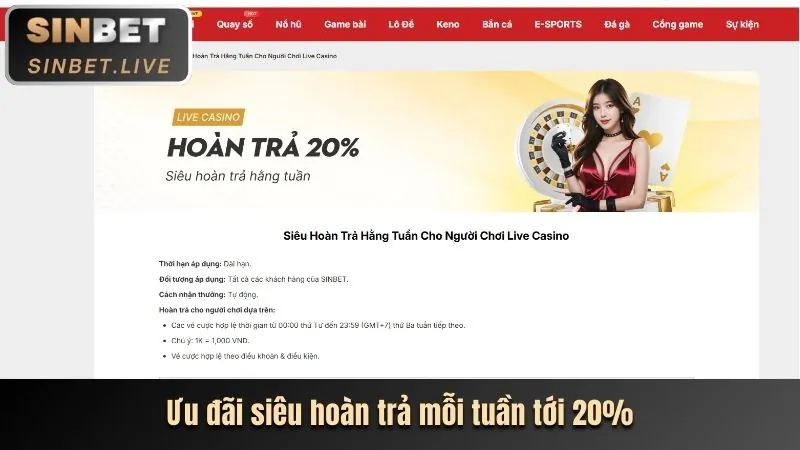 Tổng quan các loại hình khuyến mãi tại S66632